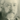 Charles Haddon Spurgeon